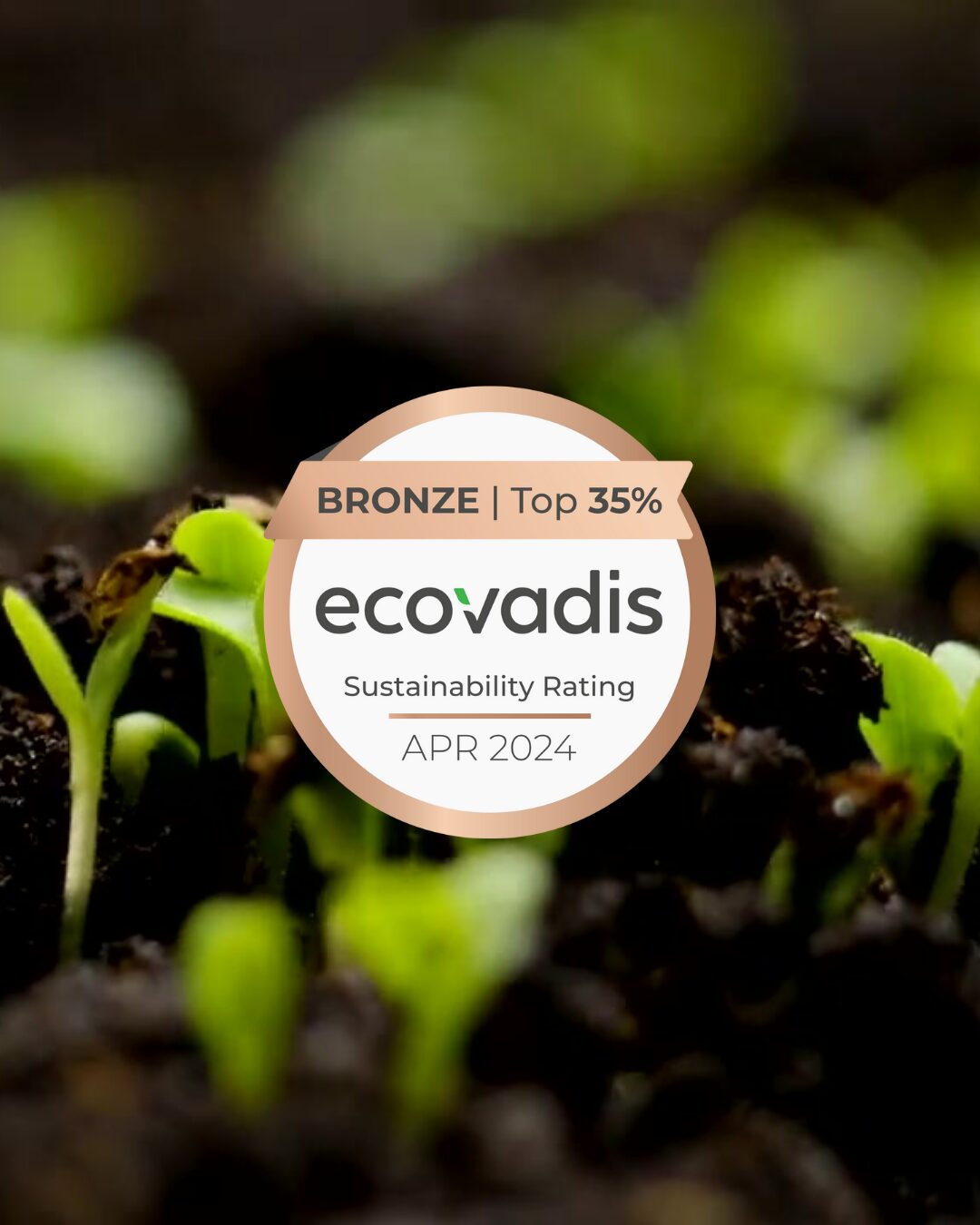 EcoVadis-certificaat toegekend aan Daoust in april 2024.